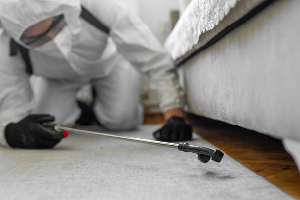 Professional Termite Control technician working in Morgan County County, GA